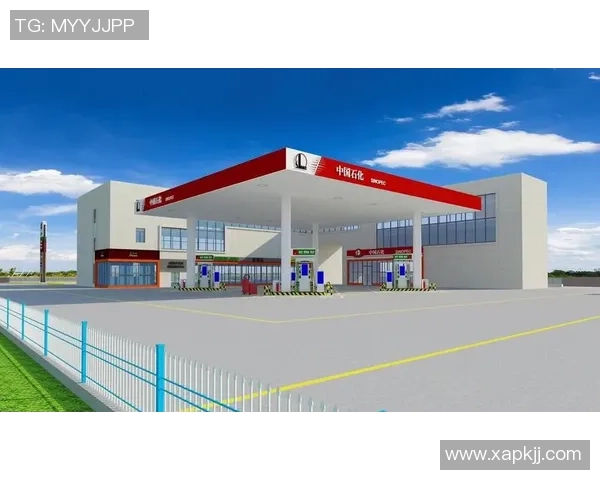 重庆篮球队的转型升级之路探索与未来展望